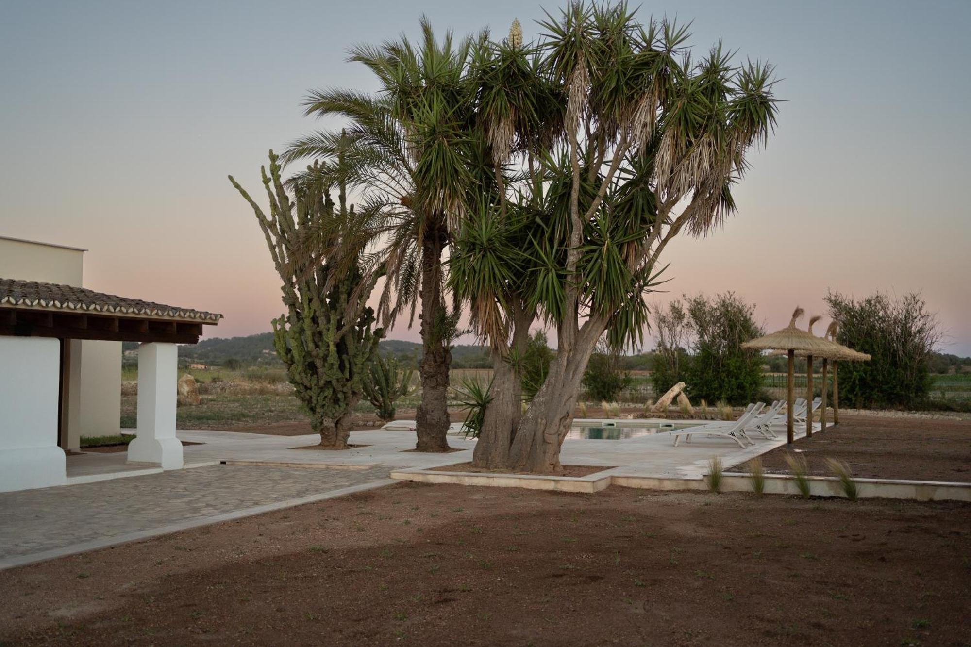 Vino Resort Son Amaret Son Macia  Exteriér fotografie