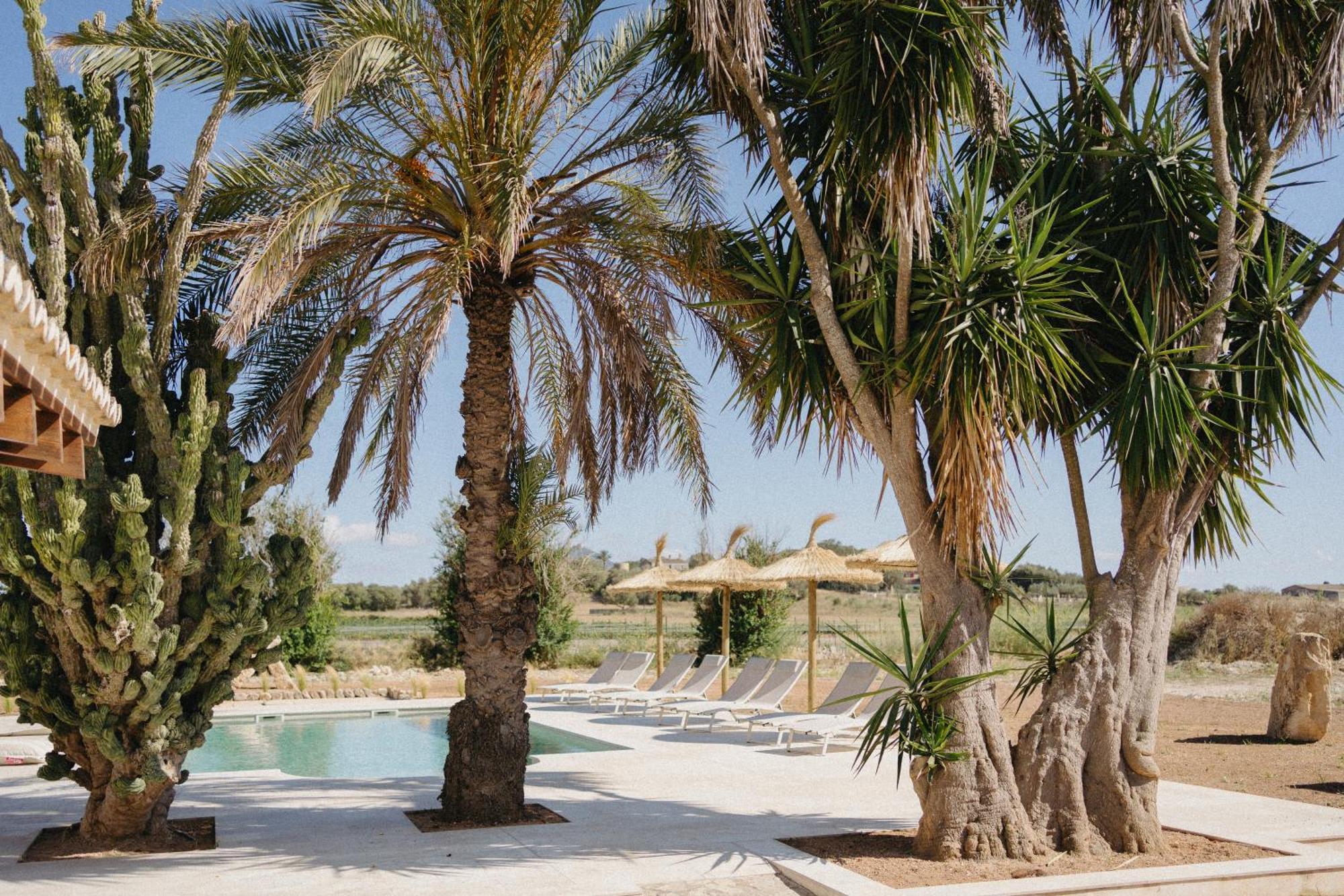 Vino Resort Son Amaret Son Macia  Exteriér fotografie