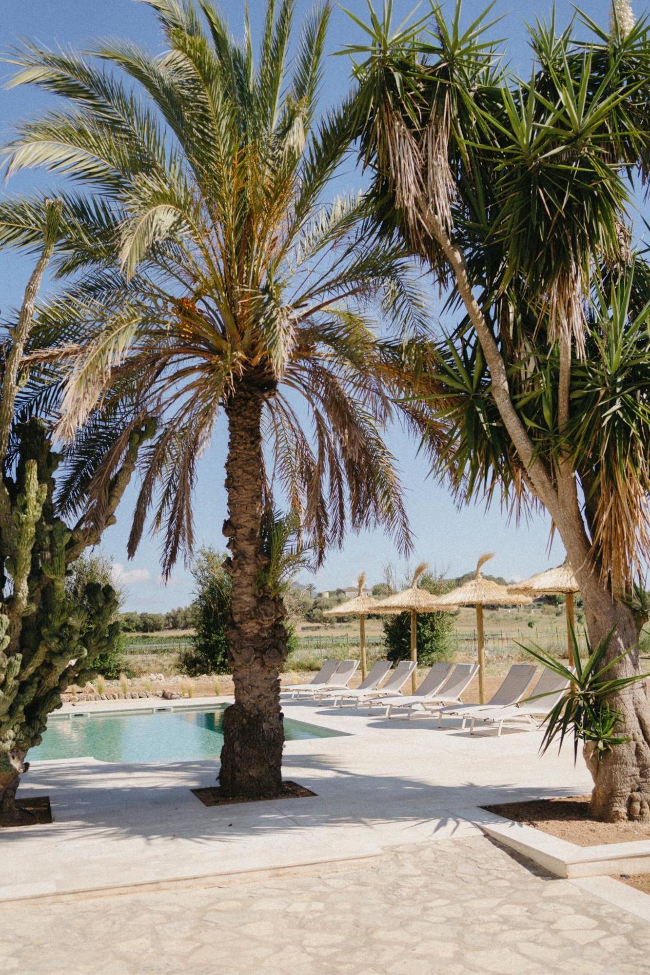 Vino Resort Son Amaret Son Macia  Exteriér fotografie