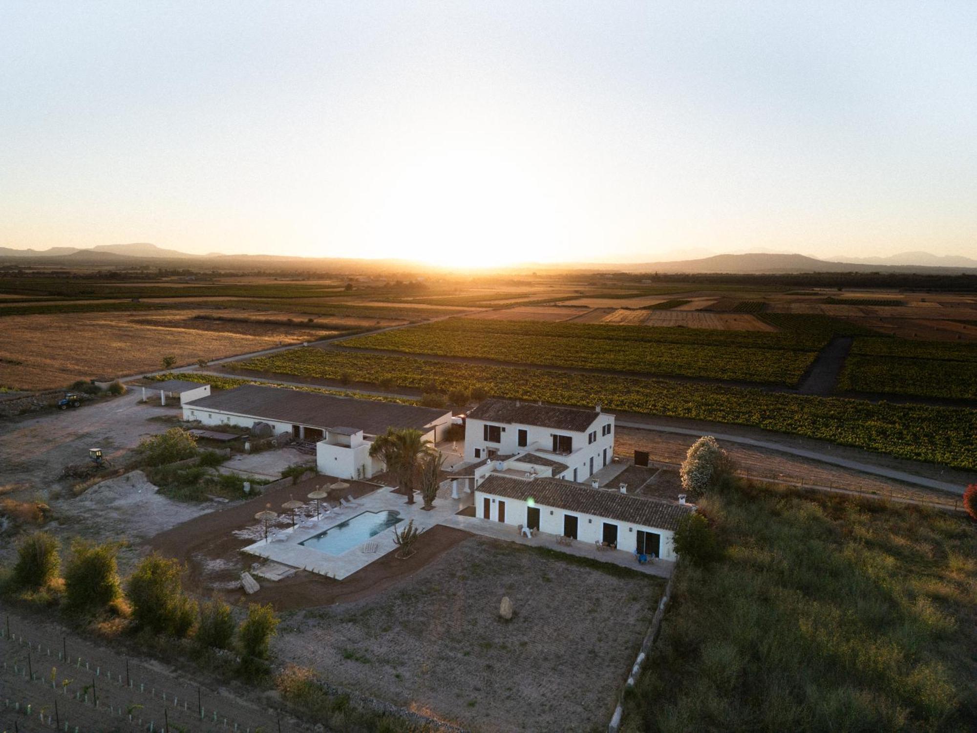 Vino Resort Son Amaret Son Macia  Exteriér fotografie