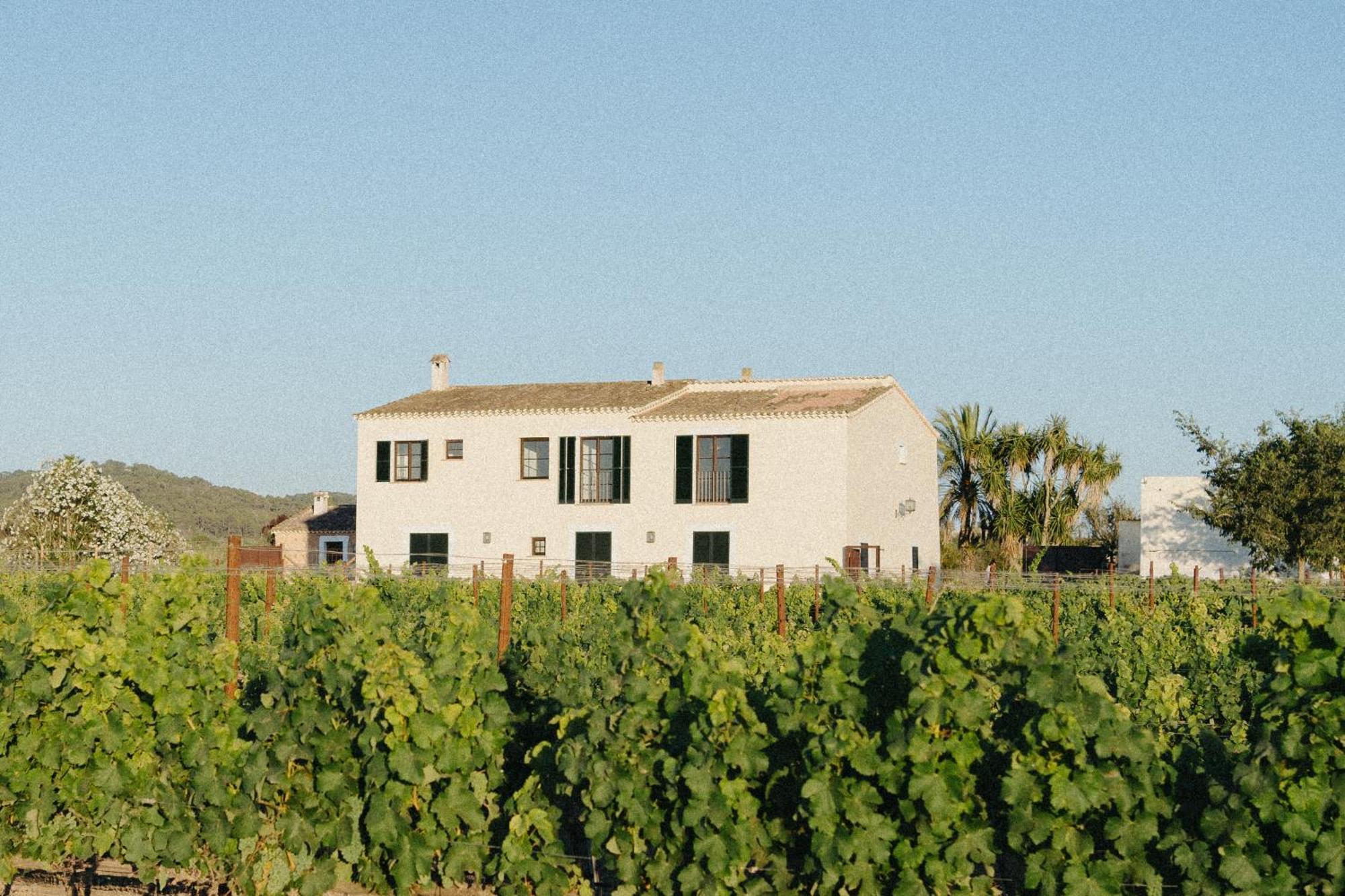 Vino Resort Son Amaret Son Macia  Exteriér fotografie